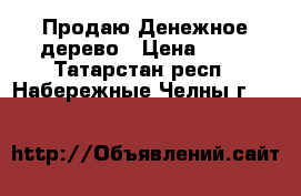 Продаю Денежное дерево › Цена ­ 70 - Татарстан респ., Набережные Челны г.  »    